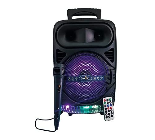 Altavoz Bluetooth Grande SW-804 de Suelo Portátil Inalámbrico 8" con Karaoke | Empareja Dos Altavoces del Mismo Modelo Y Disfruta Doble De La Fiesta | Sintonizador Radio FM, Potente Altavoz