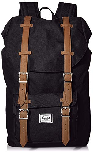 Melhor herschel em 2022 [com base em 50 avaliações de especialistas]